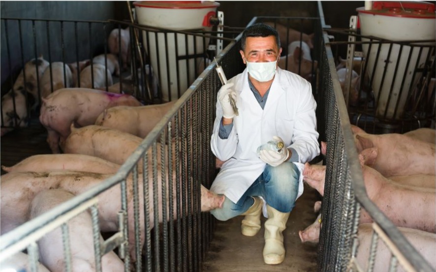 Imagen de la oferta de empleo