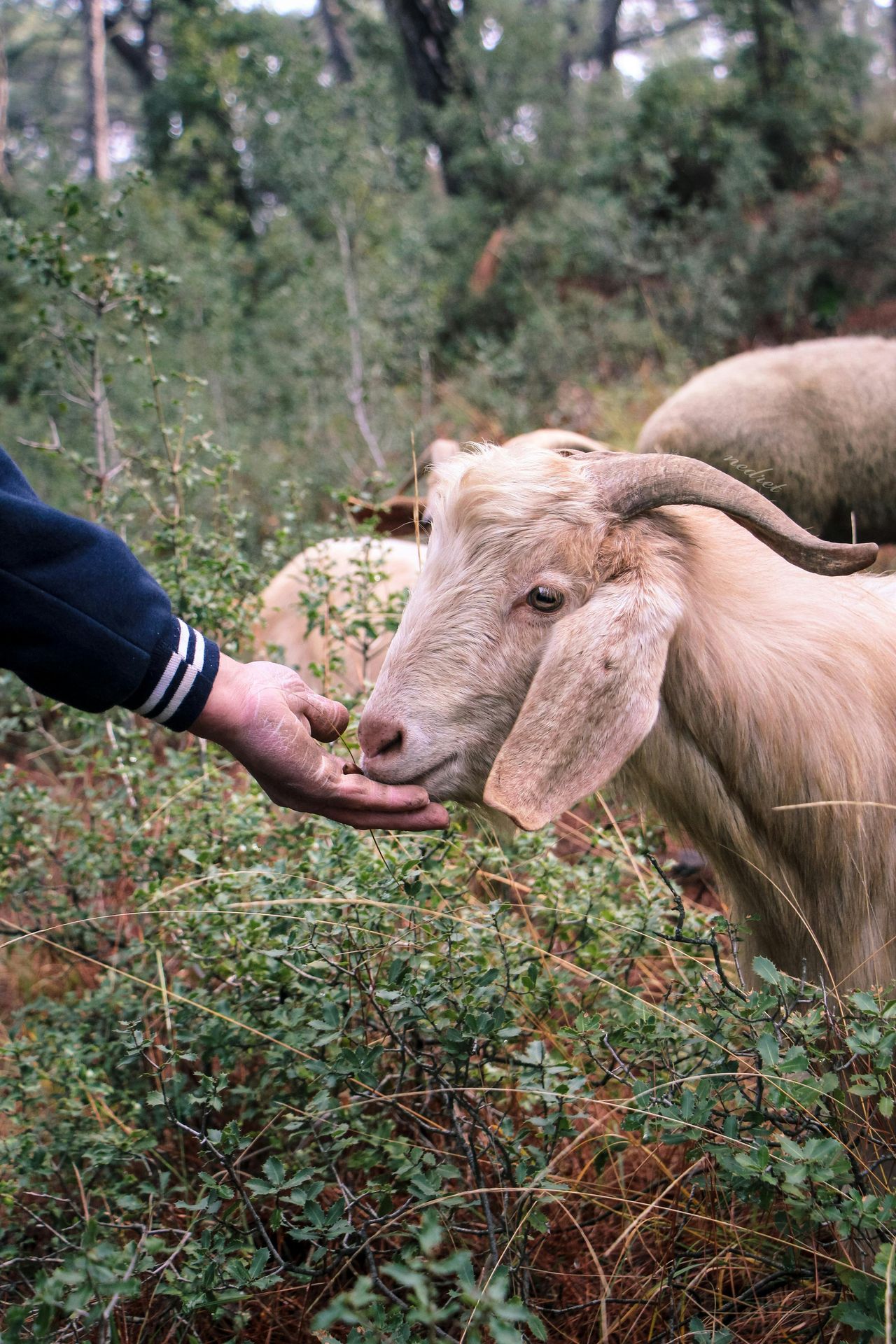 Imagen de la oferta de empleo