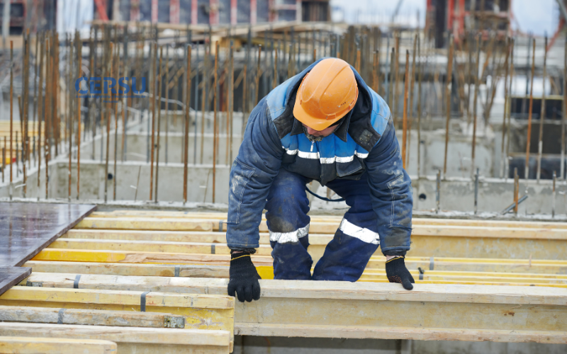 Imagen de la oferta de empleo