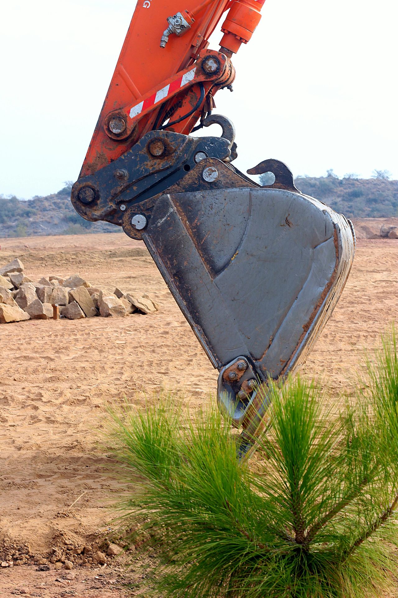 Imagen de la oferta de empleo